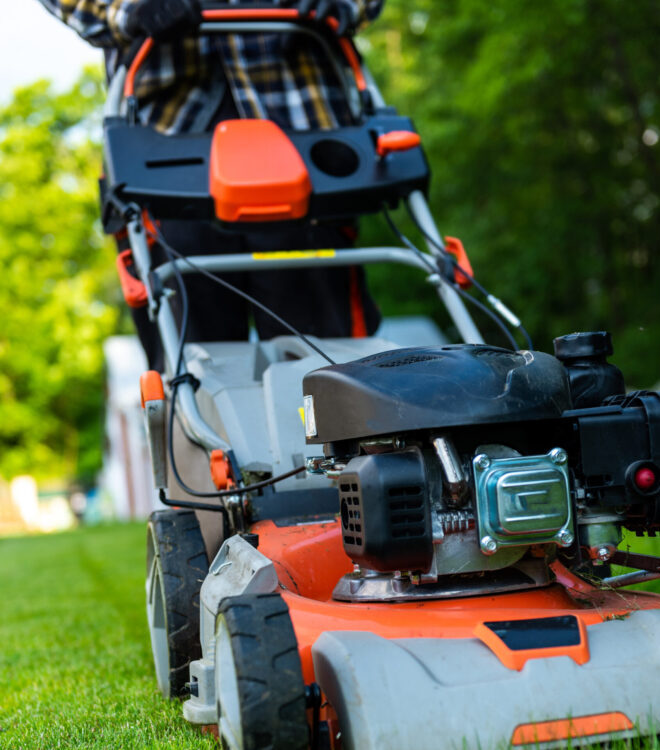 Gardener Cutting Grass with Petrol Lawnmover in Backyard Garden at Summer.